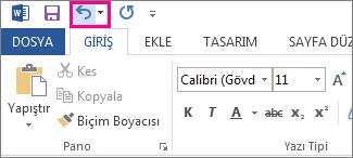 Hızlı Erişim Araç Çubuğu'ndaki Geri Al komutu