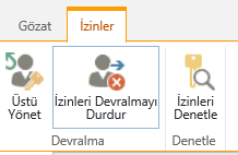 İzinleri Devralmayı Durdur düğmesini gösteren liste/kitaplık izinleri denetimi