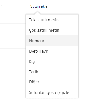 Sütun ekle'ye tıklayın ve listeden seçin