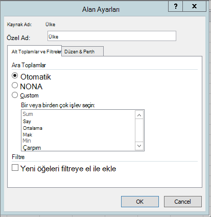 Alan Ayarları iletişim kutusunda Alt Toplamlar & Filtreler sekmesi