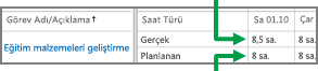 Zaman Çizelgesi satırı