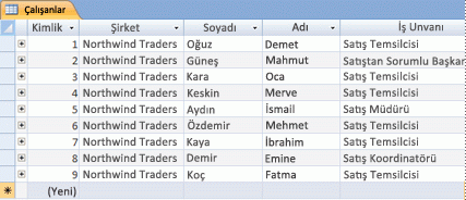 Veri Sayfası görünümünde Çalışanlar tablosu