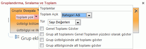 Toplamlar açılan penceresi