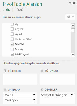 PivotTable Alan Listesi