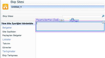 SharePoint Designer 2010'a sayfa ekleme