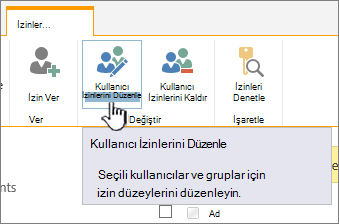 İzin düzeyini değiştirmek için İzinleri Düzenle'ye tıklayın