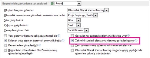 Seçenekler iletişim kutusu, Zamanlama sekmesi, bu proje alanı için zamanlama seçenekleri