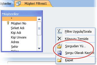 Özel filtre seçenekleri