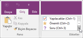 OneNote 2016’daki etiket listesinin ekran görüntüsü.