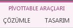 PivotTable Araçları