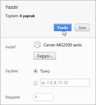 Yazdır’a tıklayın