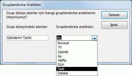 Rapor sihirbazında gruplandırma aralıkları