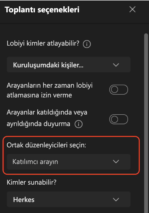 Toplantı seçenekleri kullanıcı arabirimi