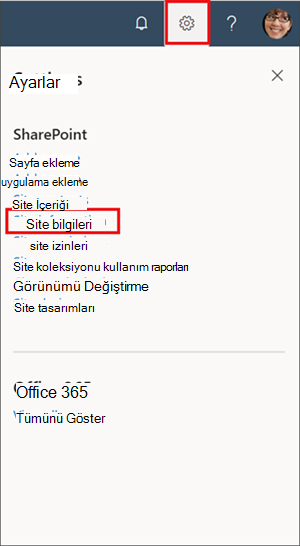 Site bilgilerinin vurgulandığı ayarlar panelinin görüntüsü