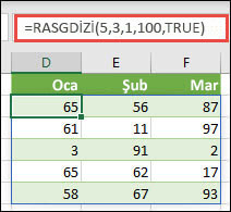 En Küçük, En Büyük ve Tamsayı bağımsız değişkenleriyle RASGDİZİ işlevi