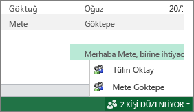 Excel Web App'te birden çok yazar