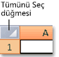 tümünü seç düğmesi