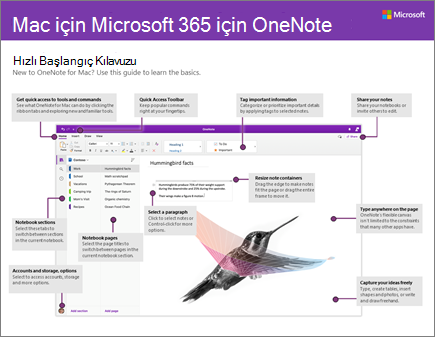 Mac için OneNote 2016 Hızlı Başlangıç Kılavuzu