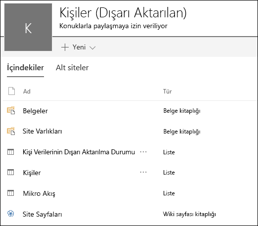 Dışarı aktarılan Access web uygulamasından listeleri içeren SharePoint alt site sayfası