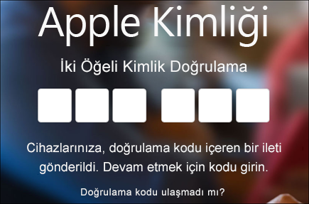 İki öğeli kimlik doğrulamanızı girin
