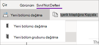 Seçeneklerin yer aldığı Yeni Bölümü Dağıt düğmesi.