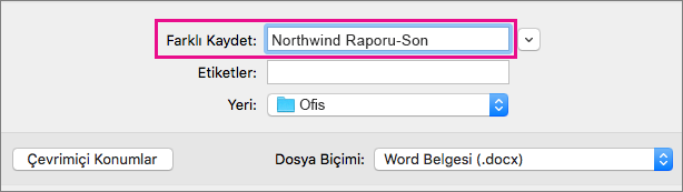 Farklı Kaydet kutusunda geçerli belge için dosya adını girin veya değiştirin.