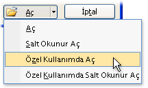 Dosyayı Özel Kullanım modunda açma