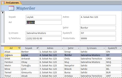 Access masaüstü veritabanındaki bir bölünmüş form