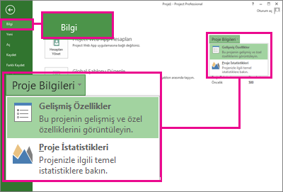 Gelişmiş Özellikler'in vurgulandığı Proje Bilgileri menüsü