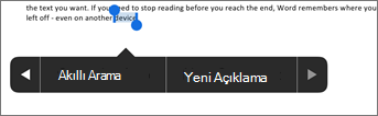 Word'de metini seçtikten sonra Yeni Açıklama’ya dokunun