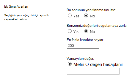 Yeni iletişim kutusunun ek sorular bölümü