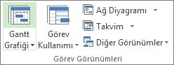 Görünüm sekmesindeki Görev Görünümleri grubu.