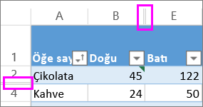 satırların ve sütunların arasındaki çift çizgiler gizli satır ve sütunları gösterir