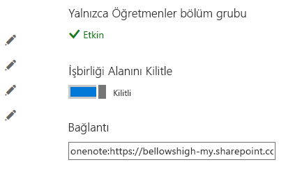 İki durumlu düğmeyi kilitli konumuna getirerek Ortak Çalışma Alanı'nı kilitleyin.