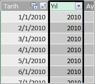 Yıl sütunu