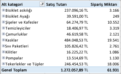 Detayına gittiğiniz öğeleri gösteren PivotTable