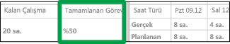 Tamamlanan Çalışma Yüzdesi sütunu