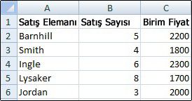 Kılavuz çizgilerinin gösterildiği çalışma sayfası