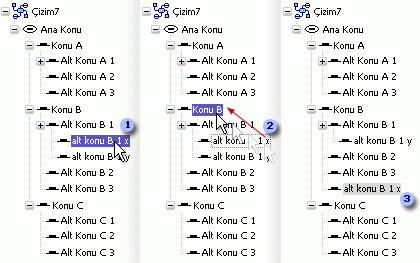 Alt konuyu üst düzeye taşıma