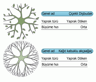 Veri grafikleri iki şeklin verilerini aynı anda gösterir.