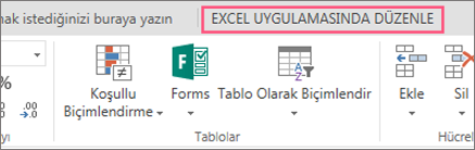 Excel’de Düzenle düğmesi