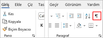 Giriş sekmesinde vurgulanan Göster/Gizle simgesi.