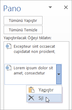 Kopyalanan bir öğenin Panodan silinmesini gösterir