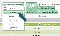 PowerPivot'ta Otomatik Toplam