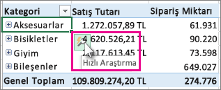 Hızlı Araştırma düğmesi