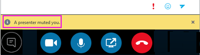 "Presenter muted you" message