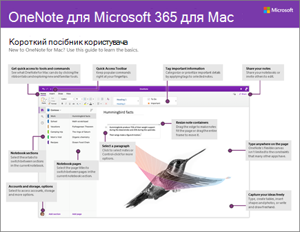 Короткий посібник користувача OneNote 2016 для Mac