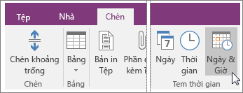 Ảnh chụp màn hình của nút Ngày và Giờ trong OneNote 2016.