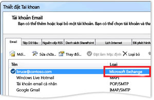 Ví dụ về Tài khoản Exchange trong hộp thoại Thiết đặt Tài khoản