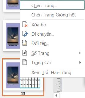 Để chèn một trang, bấm chuột phải vào một trang trong ngăn Dẫn hướng Trang.